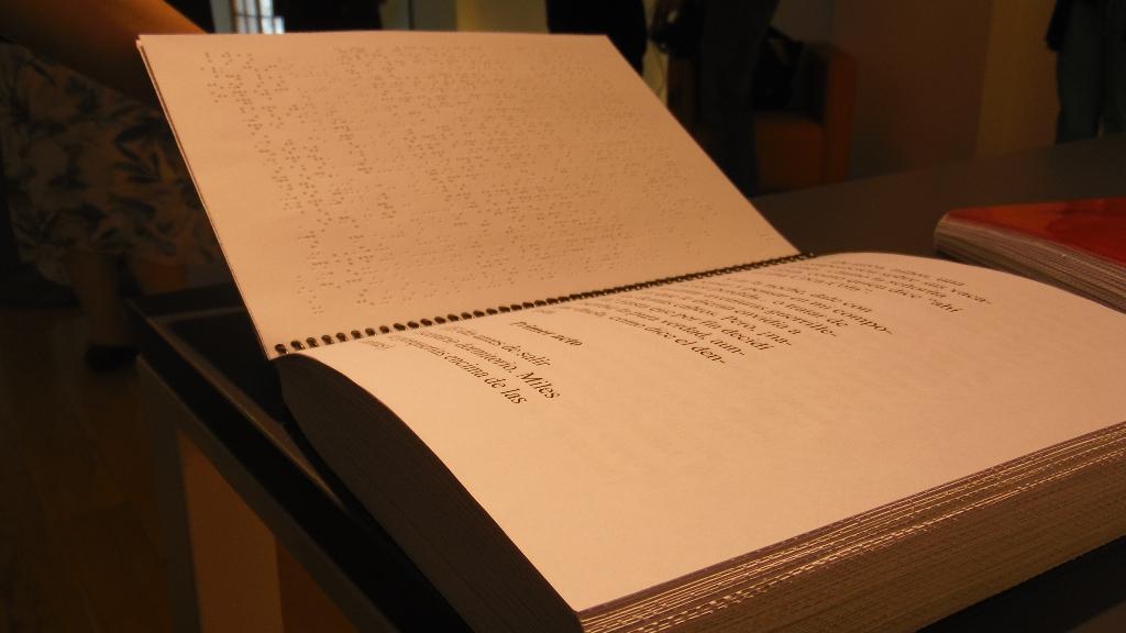 Papelucho en Sistema Braille